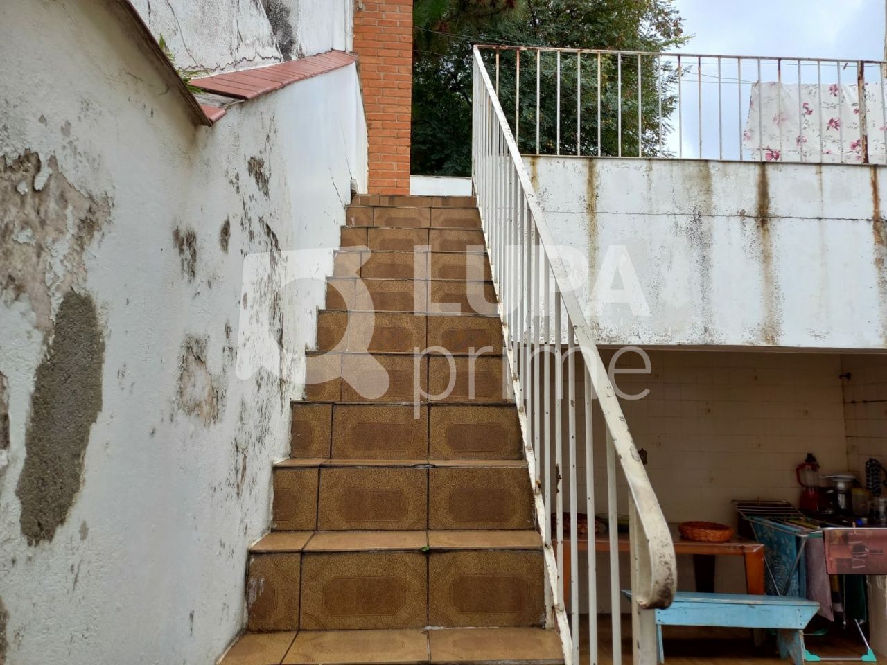 casa-terrea-venda-sao-paulo-tucuruvi-3dormitorios-4vagas-225m2-LS35846
