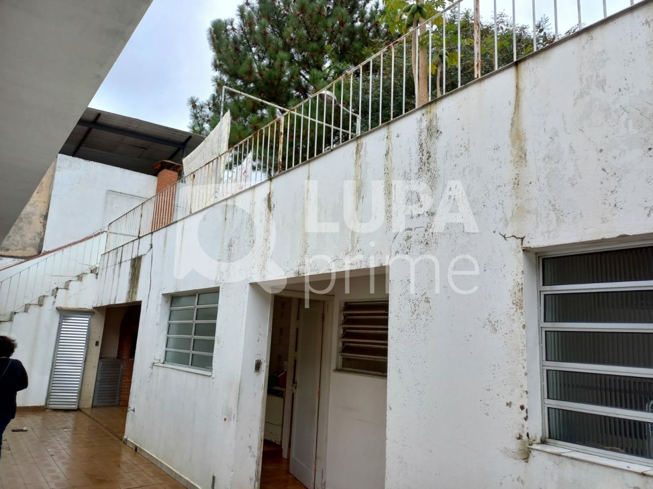 casa-terrea-venda-sao-paulo-tucuruvi-3dormitorios-4vagas-225m2-LS35846