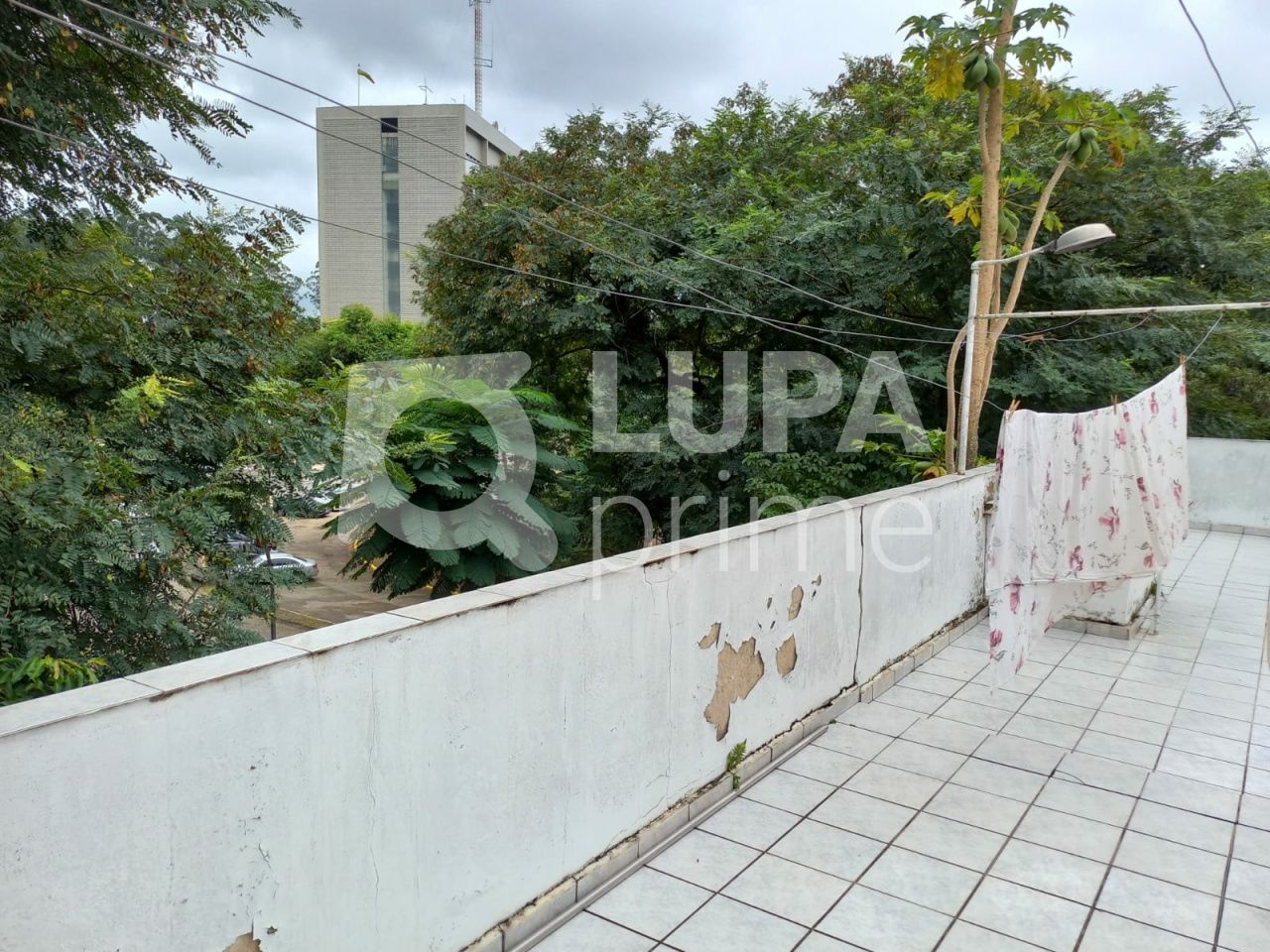 casa-terrea-venda-sao-paulo-tucuruvi-3dormitorios-4vagas-225m2-LS35846