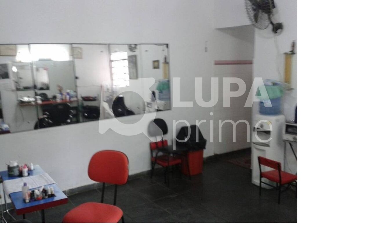 Casa, 4 quartos, 175 m² - Foto 12