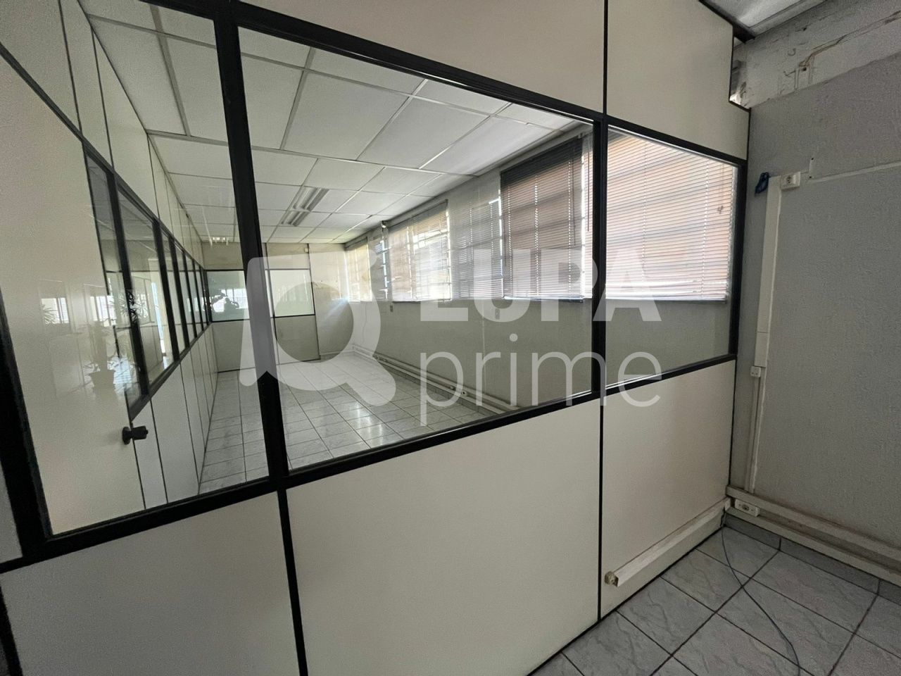 galpao-venda-sao-paulo-parque-mandaqui-550m2-LS36236