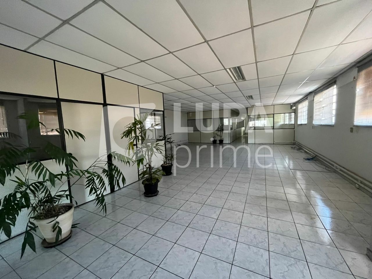 galpao-venda-sao-paulo-parque-mandaqui-550m2-LS36236