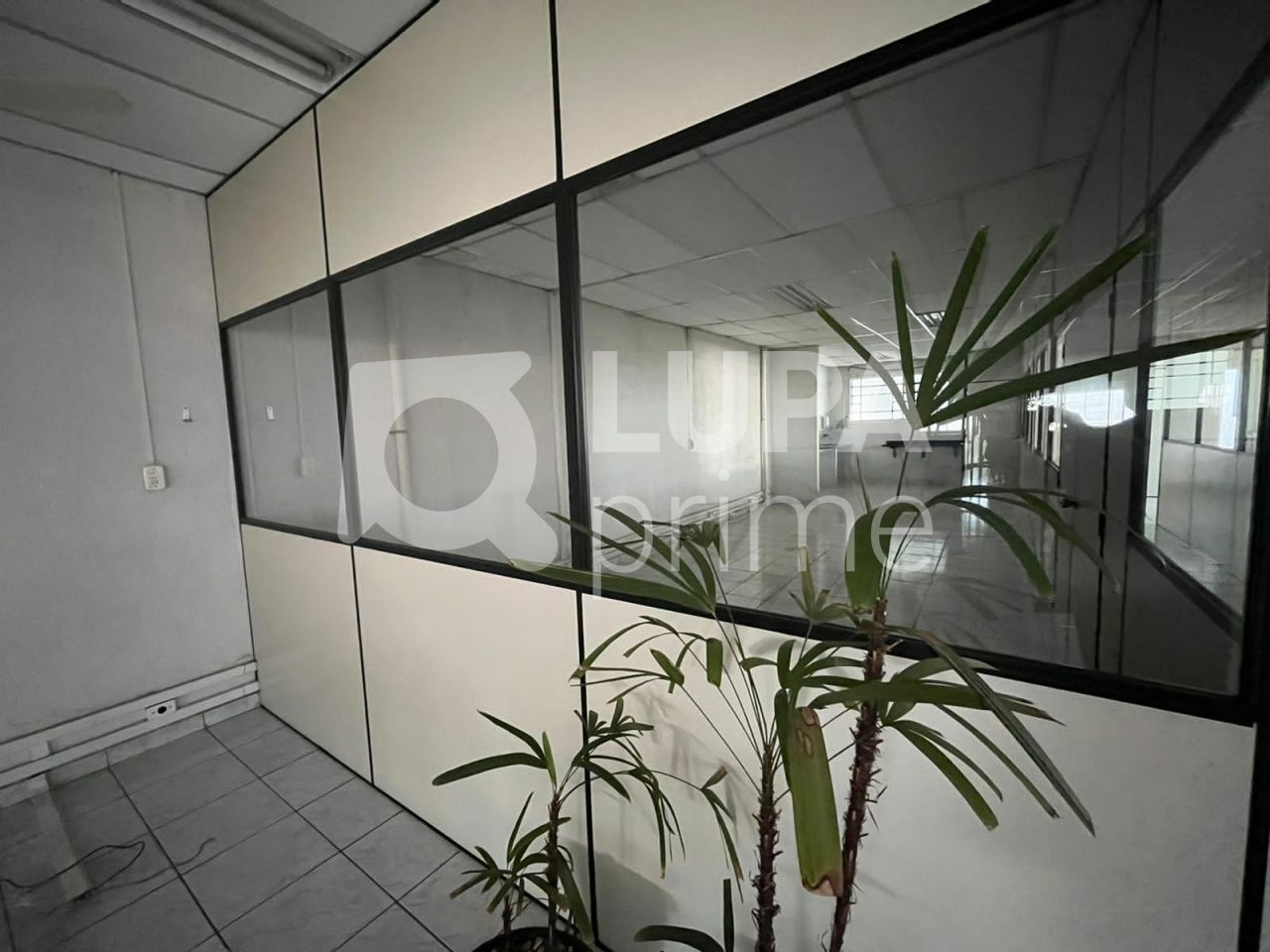 galpao-venda-sao-paulo-parque-mandaqui-550m2-LS36236