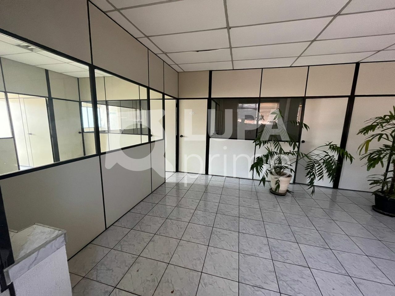 galpao-venda-sao-paulo-parque-mandaqui-550m2-LS36236