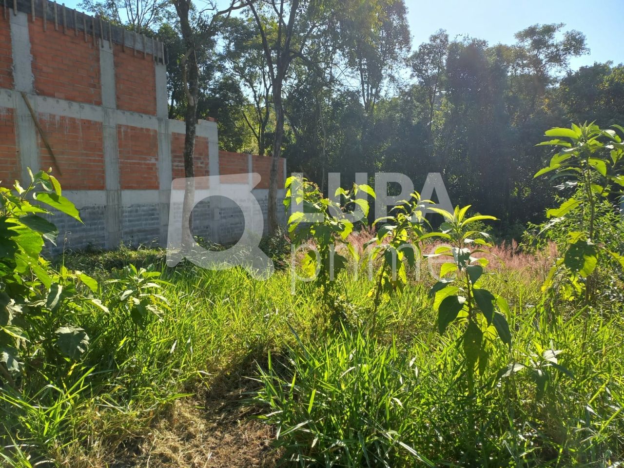 terreno-venda-sao-paulo-jardim-floresta-LS36423