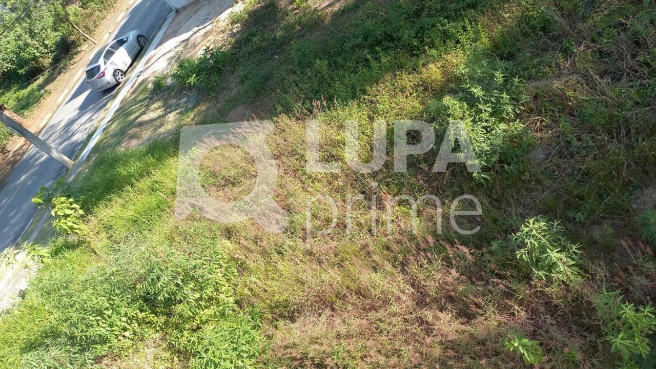 terreno-venda-sao-paulo-jardim-floresta-LS36424