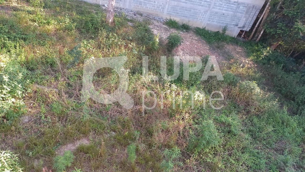 terreno-venda-sao-paulo-jardim-floresta-LS36424