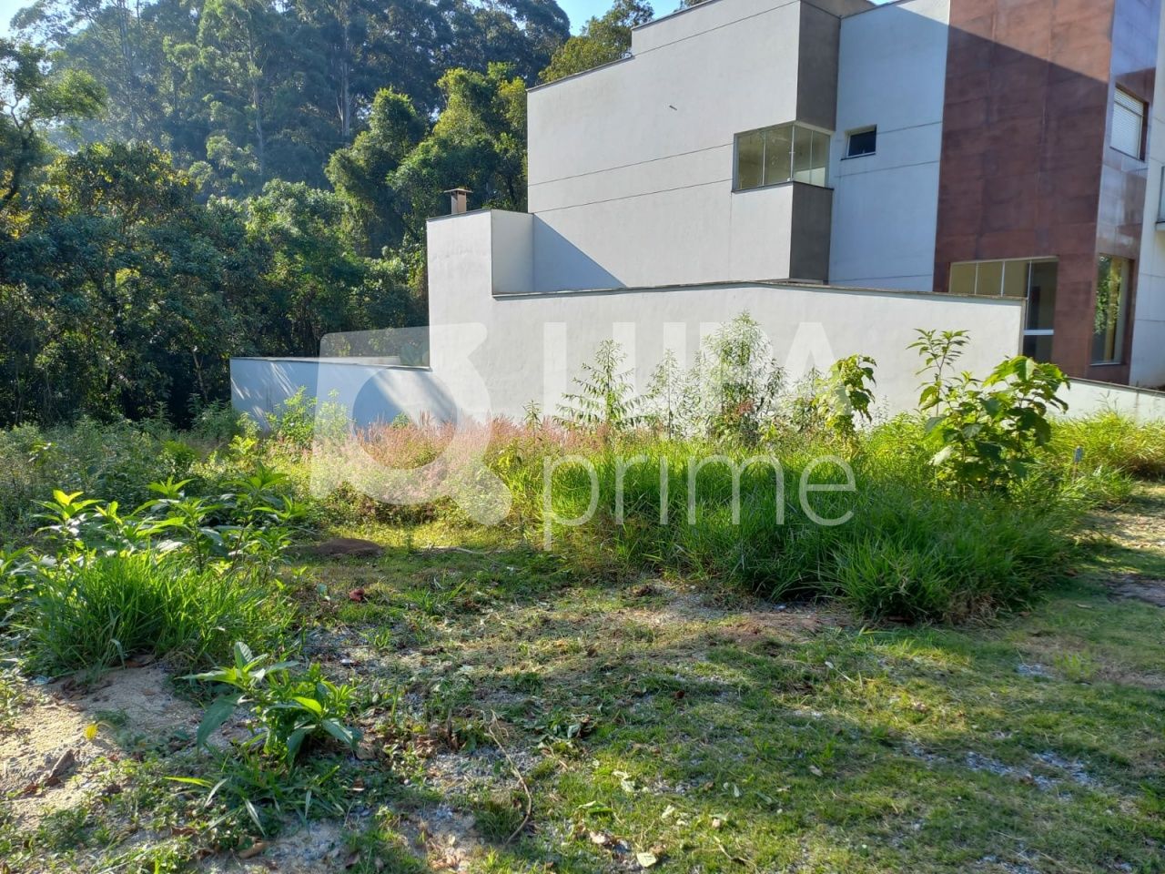 terreno-venda-sao-paulo-jardim-floresta-LS36424
