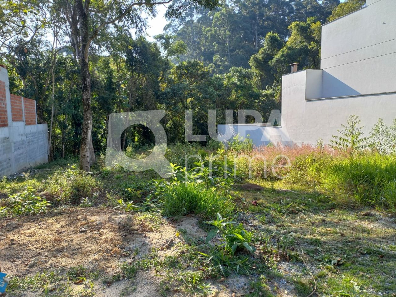 terreno-venda-sao-paulo-jardim-floresta-LS36424