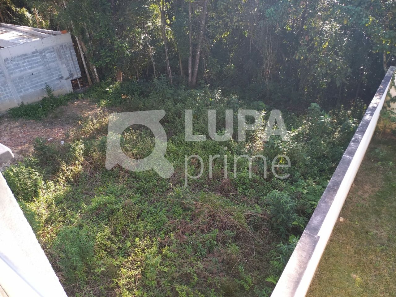 terreno-venda-sao-paulo-jardim-floresta-LS36424