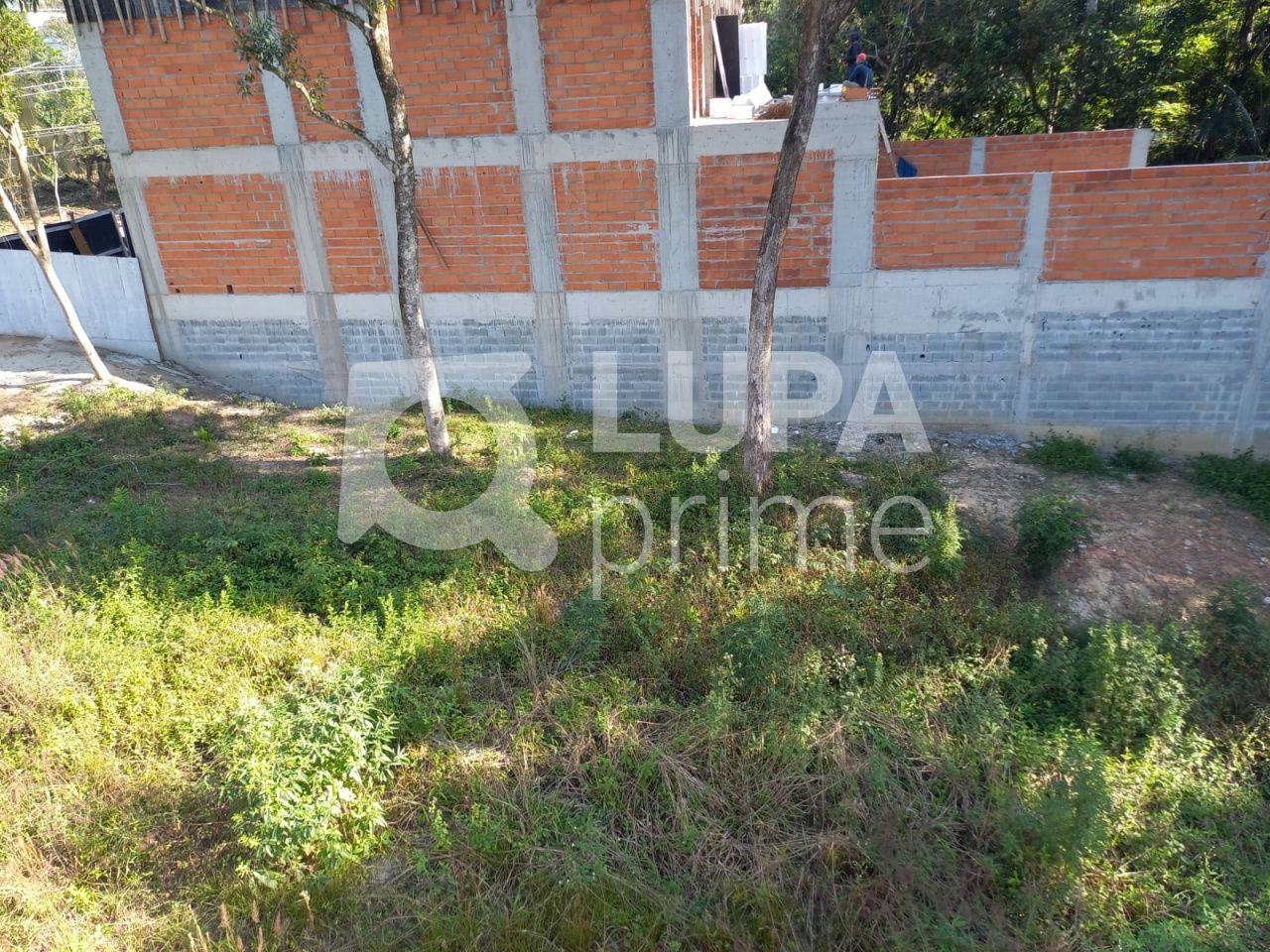 terreno-venda-sao-paulo-jardim-floresta-LS36424