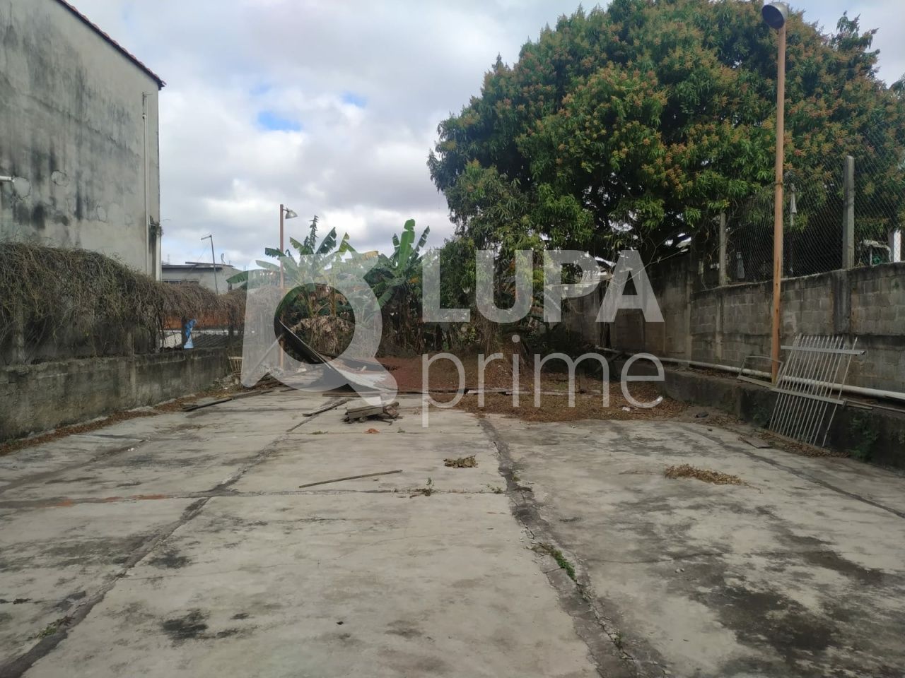 terreno-venda-sao-paulo-vila-taquari-LS36802