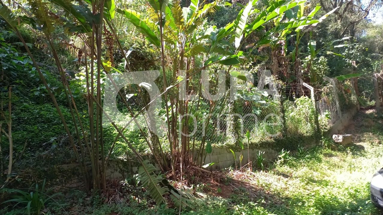 terreno-venda-sao-paulo-vila-irmaos-arnoni-LS37243