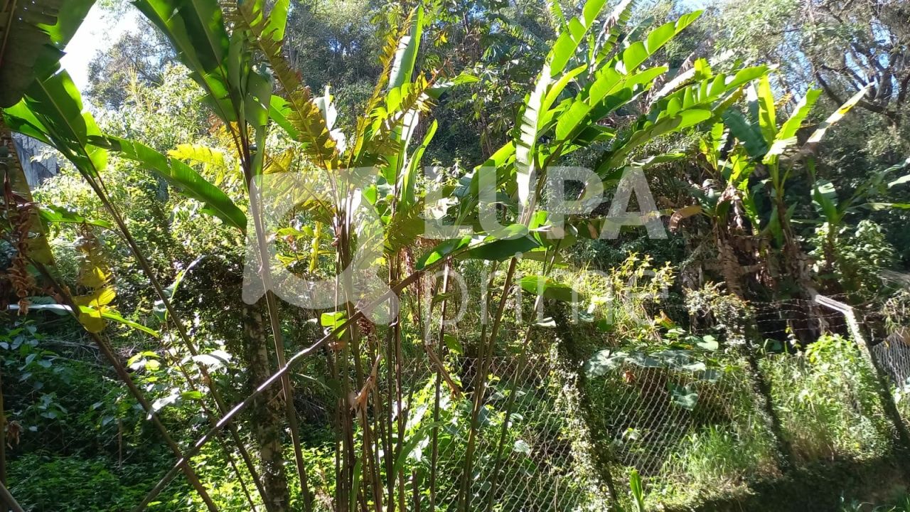 terreno-venda-sao-paulo-vila-irmaos-arnoni-LS37243