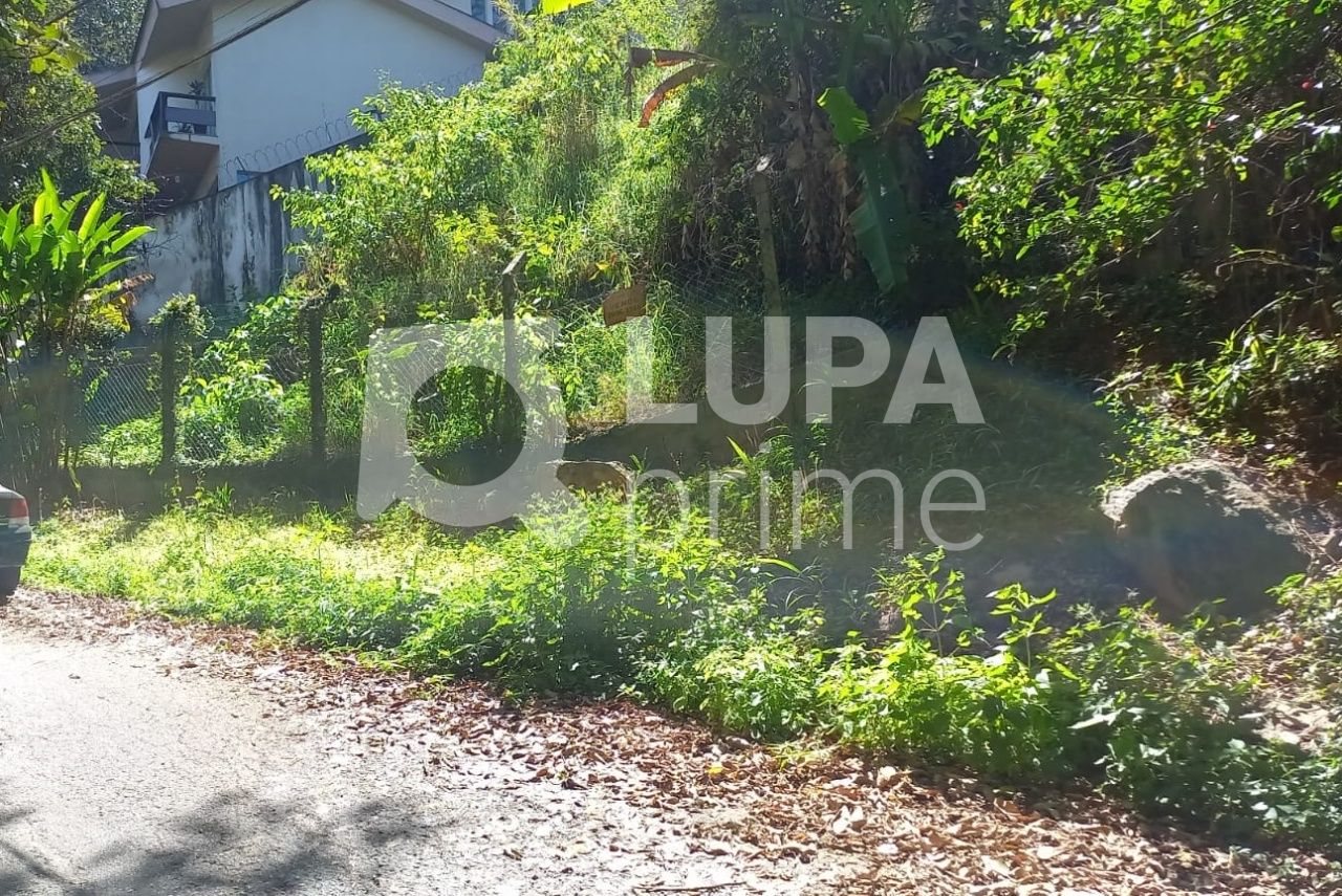 terreno-venda-sao-paulo-vila-irmaos-arnoni-LS37245