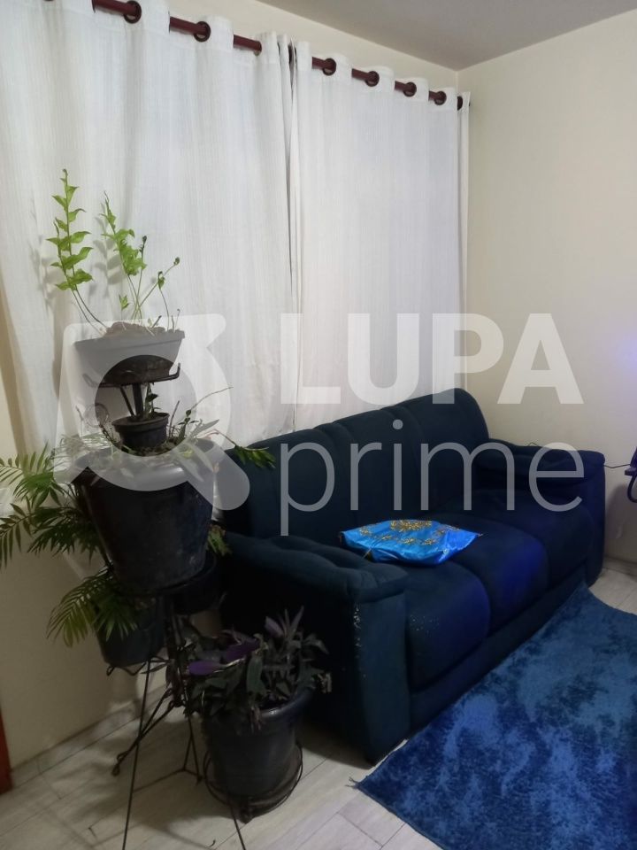 apartamento-venda-sao-paulo-santana-3dormitorios-1vaga-126m2-LS37600