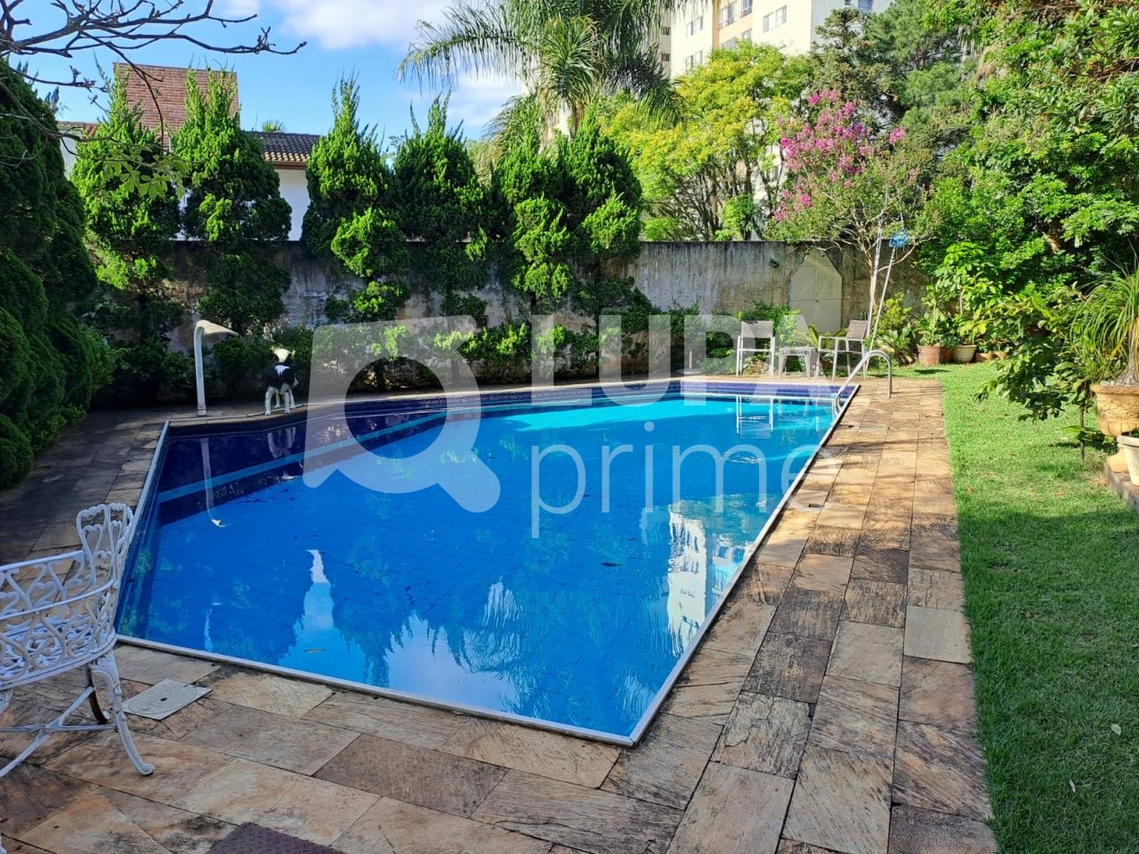 casa-terrea-venda-sao-paulo-tremembe-3dormitorios-3suites-325m2-LS38197
