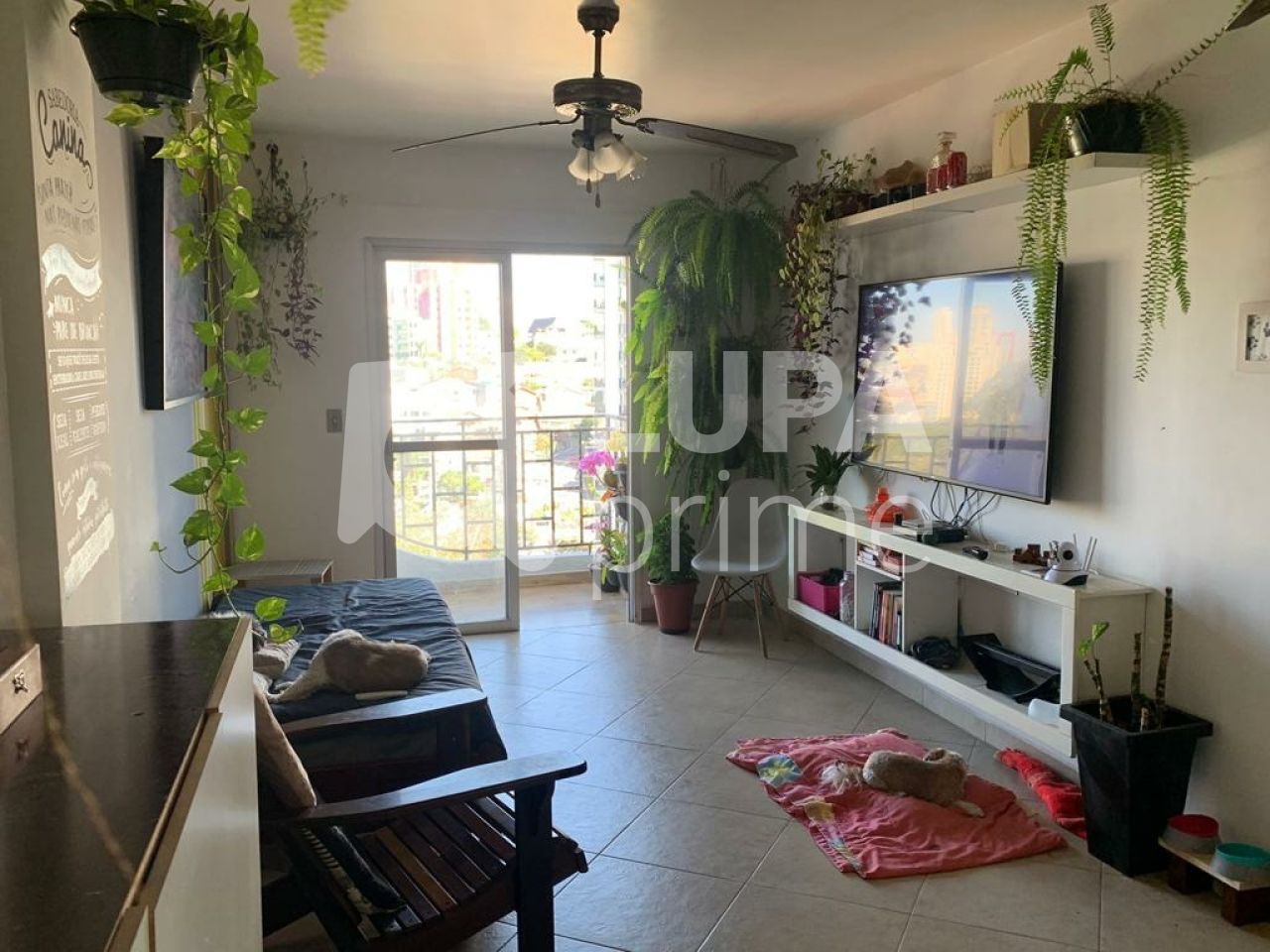 apartamento-venda-sao-paulo-agua-fria-3dormitorios-1suite-1vaga-87m2-LS38421