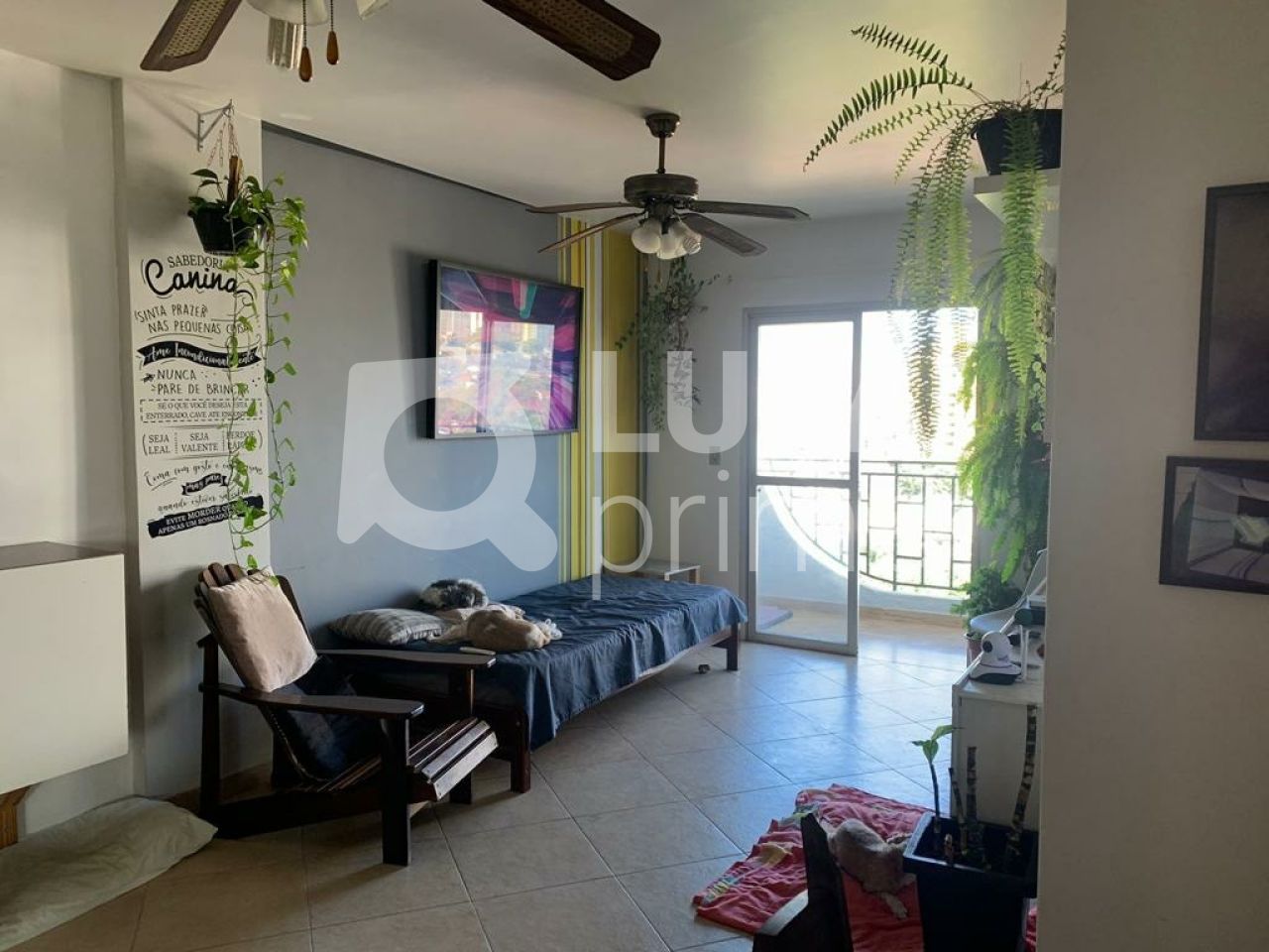 apartamento-venda-sao-paulo-agua-fria-3dormitorios-1suite-1vaga-87m2-LS38421