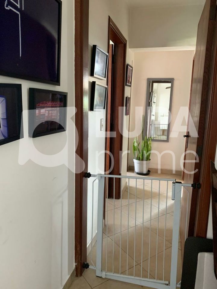 apartamento-venda-sao-paulo-agua-fria-3dormitorios-1suite-1vaga-87m2-LS38421