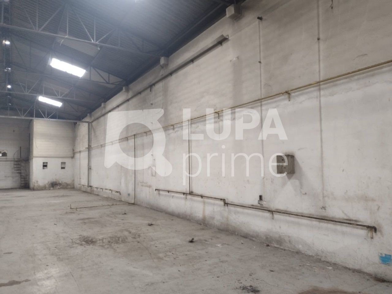 galpao-venda-sao-paulo-casa-verde-alta-480m2-LS38776