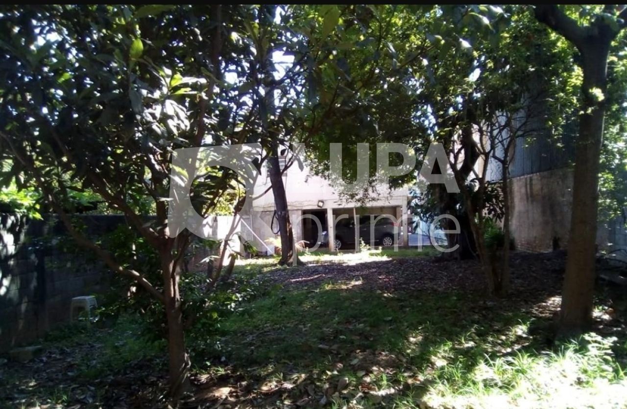 terreno-venda-sao-paulo-jardim-peri-novo-530m2-LS38900