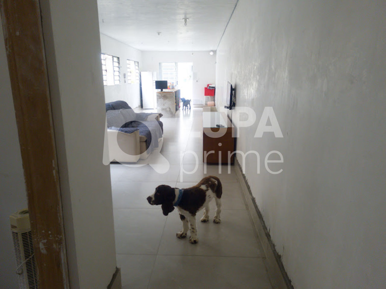 casa-terrea-venda-sao-paulo-vila-isolina-mazzei-3dormitorios-1vaga-131m2-LS39042