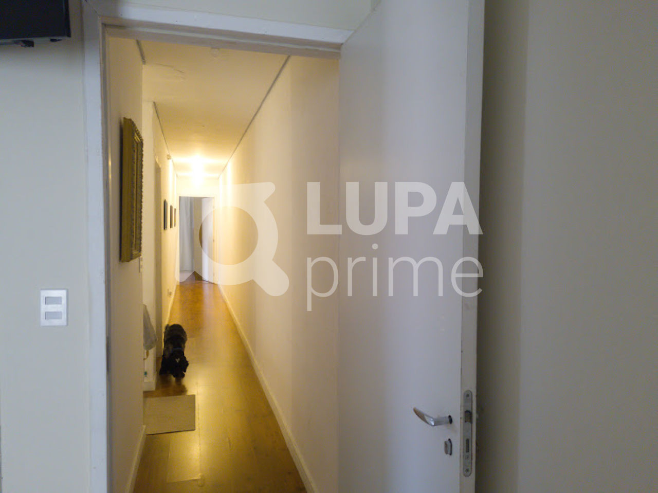 casa-terrea-venda-sao-paulo-vila-isolina-mazzei-3dormitorios-1vaga-131m2-LS39042