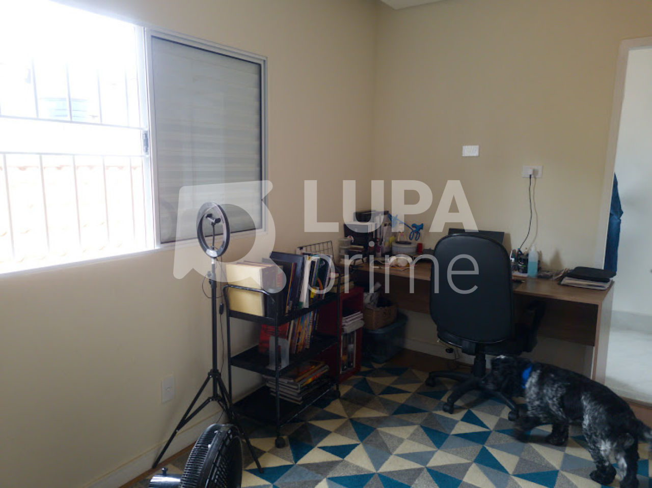 casa-terrea-venda-sao-paulo-vila-isolina-mazzei-3dormitorios-1vaga-131m2-LS39042