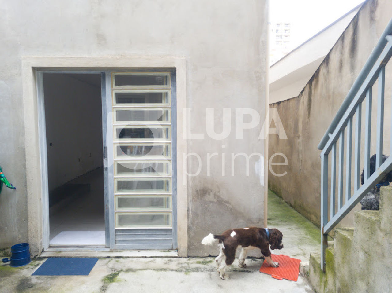 casa-terrea-venda-sao-paulo-vila-isolina-mazzei-3dormitorios-1vaga-131m2-LS39042