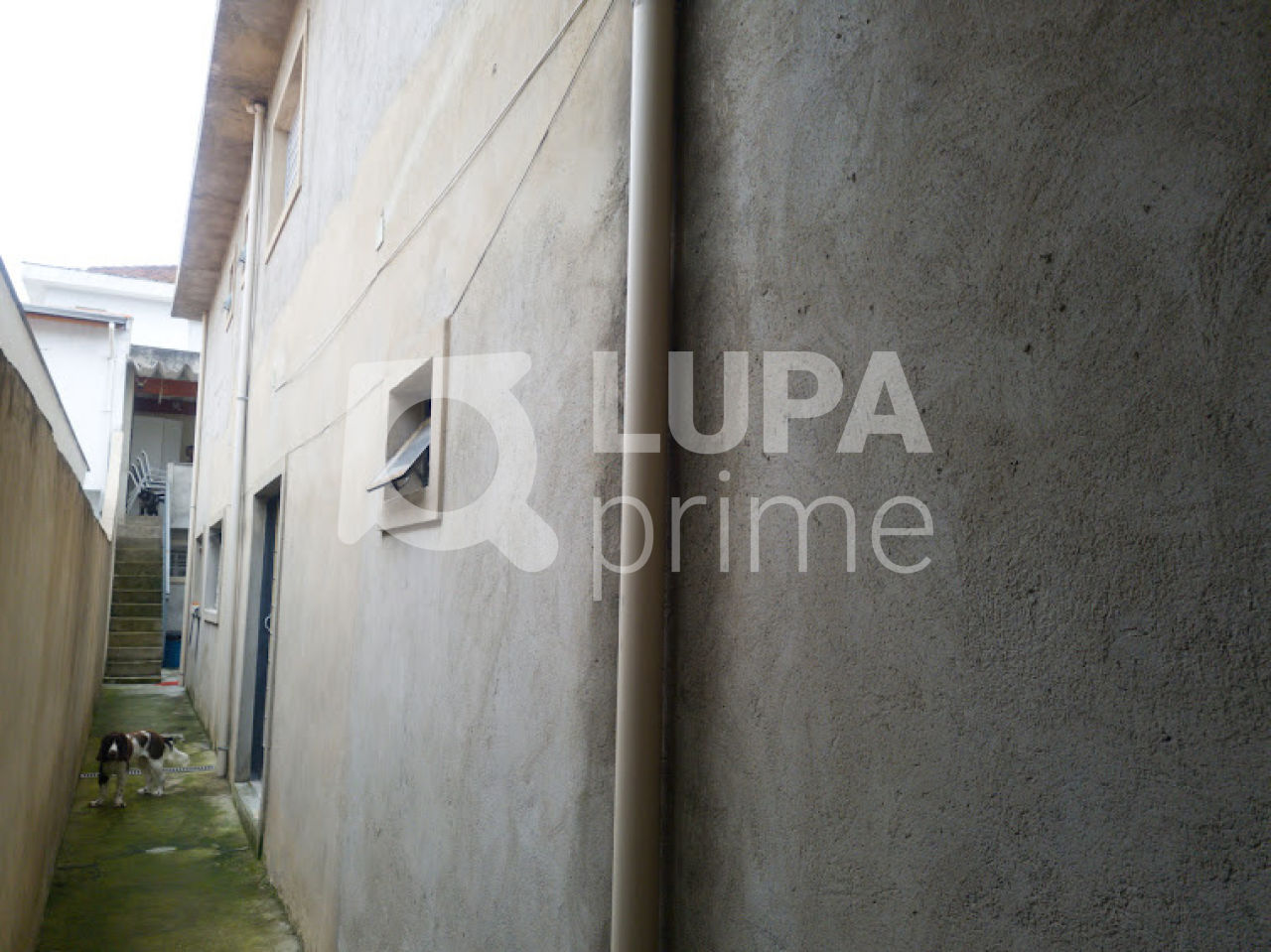 casa-terrea-venda-sao-paulo-vila-isolina-mazzei-3dormitorios-1vaga-131m2-LS39042