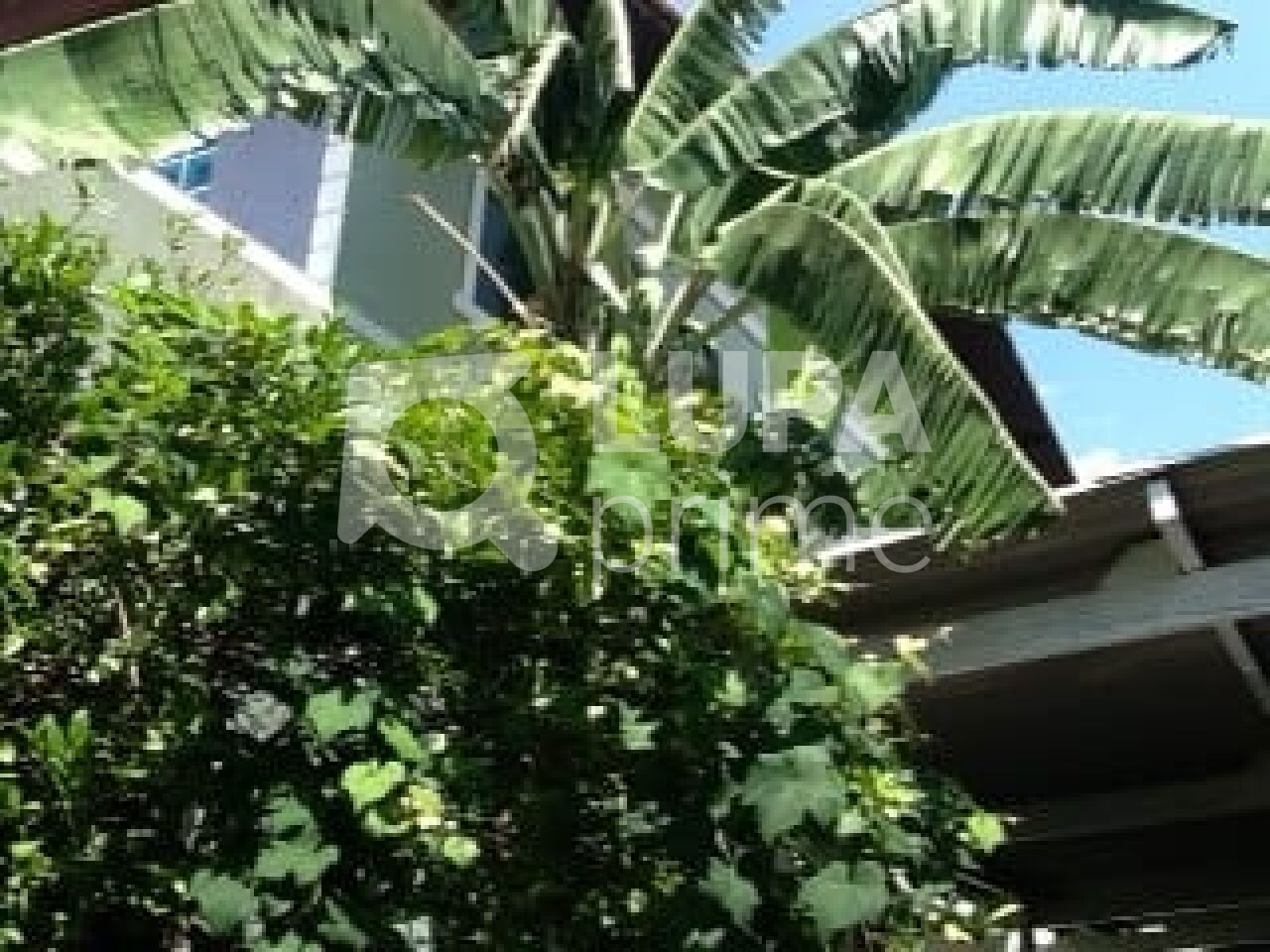 Casa, 3 quartos, 150 m² - Foto 27
