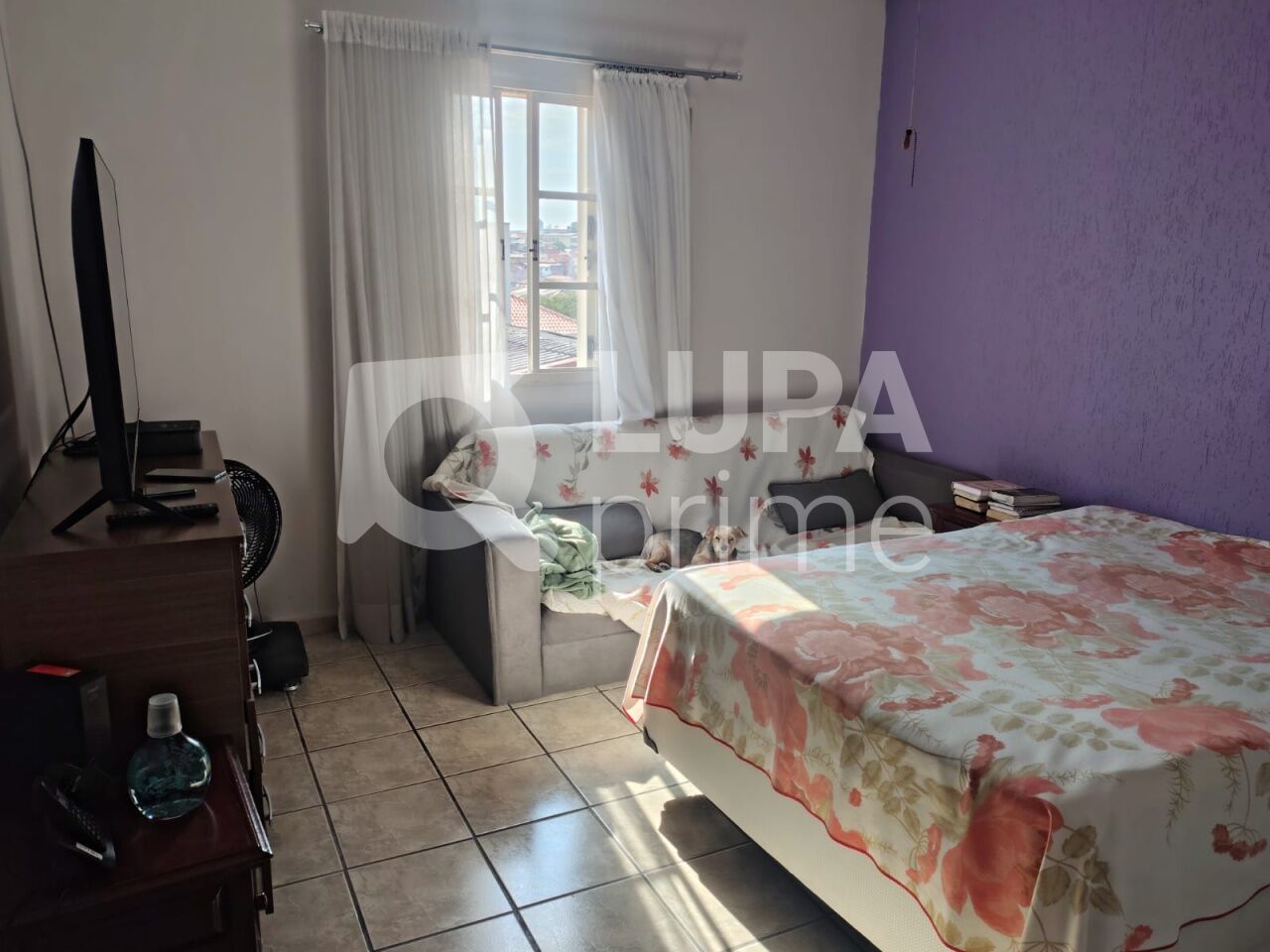 Casa, 3 quartos, 150 m² - Foto 4