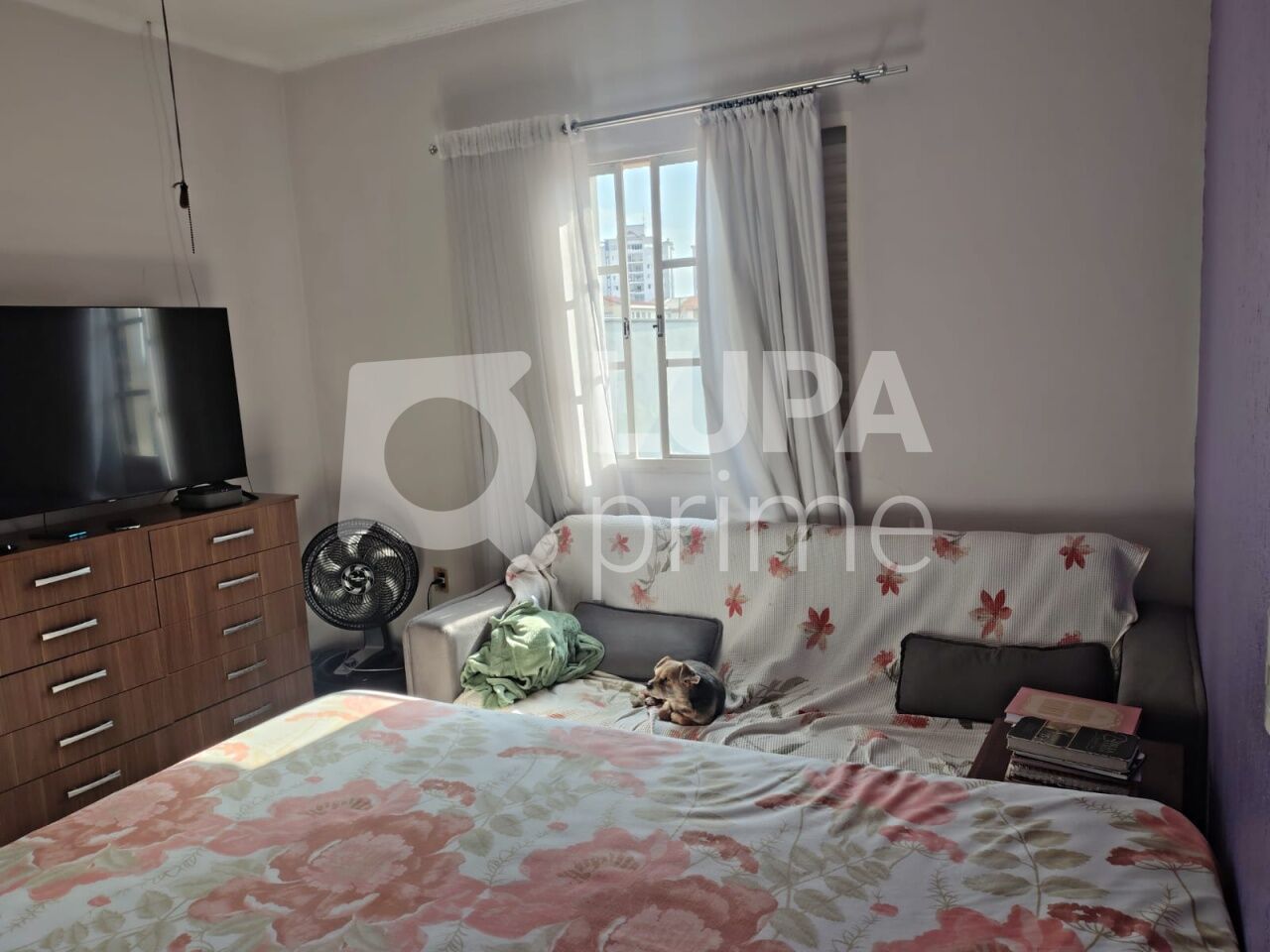 Casa, 3 quartos, 150 m² - Foto 7