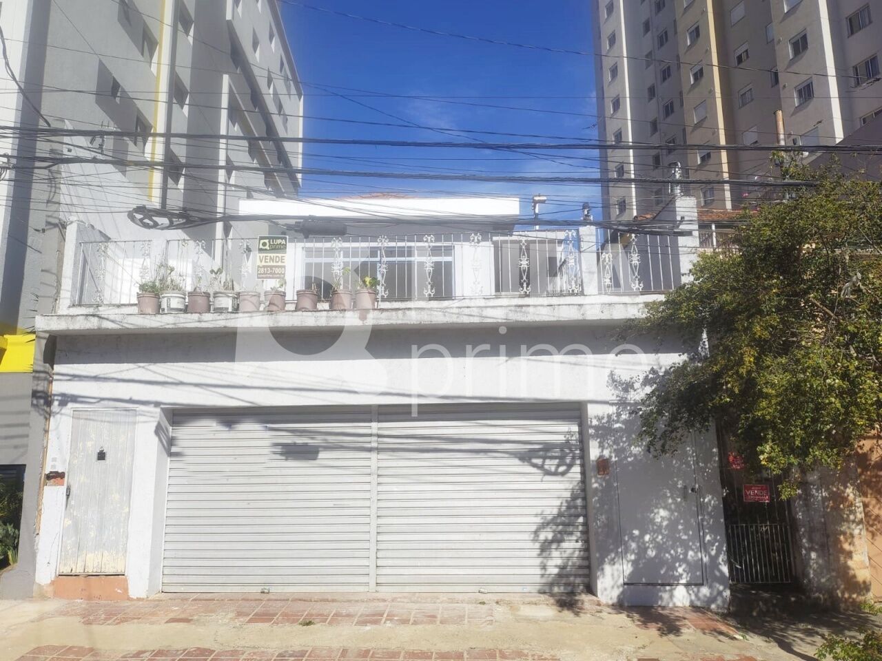 terreno-venda-sao-paulo-vila-gustavo-360m2-LS41117
