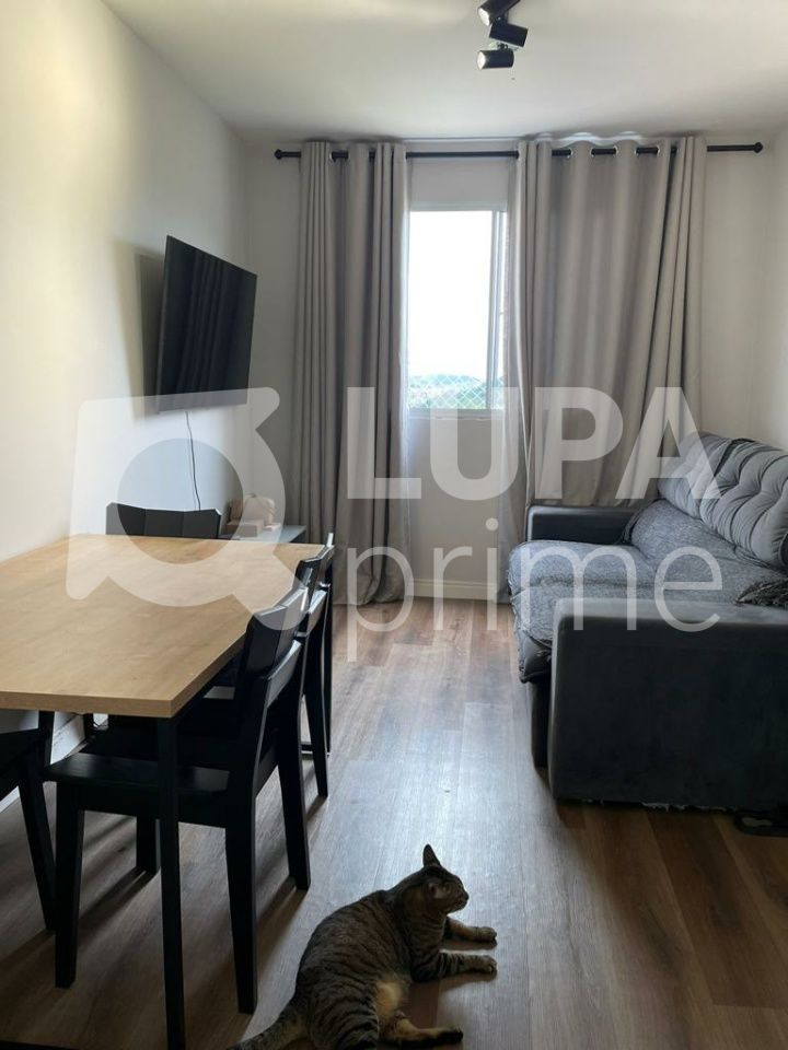 apartamento-venda-sao-paulo-vila-santos-2dormitorios-1vaga-40m2-LS41481