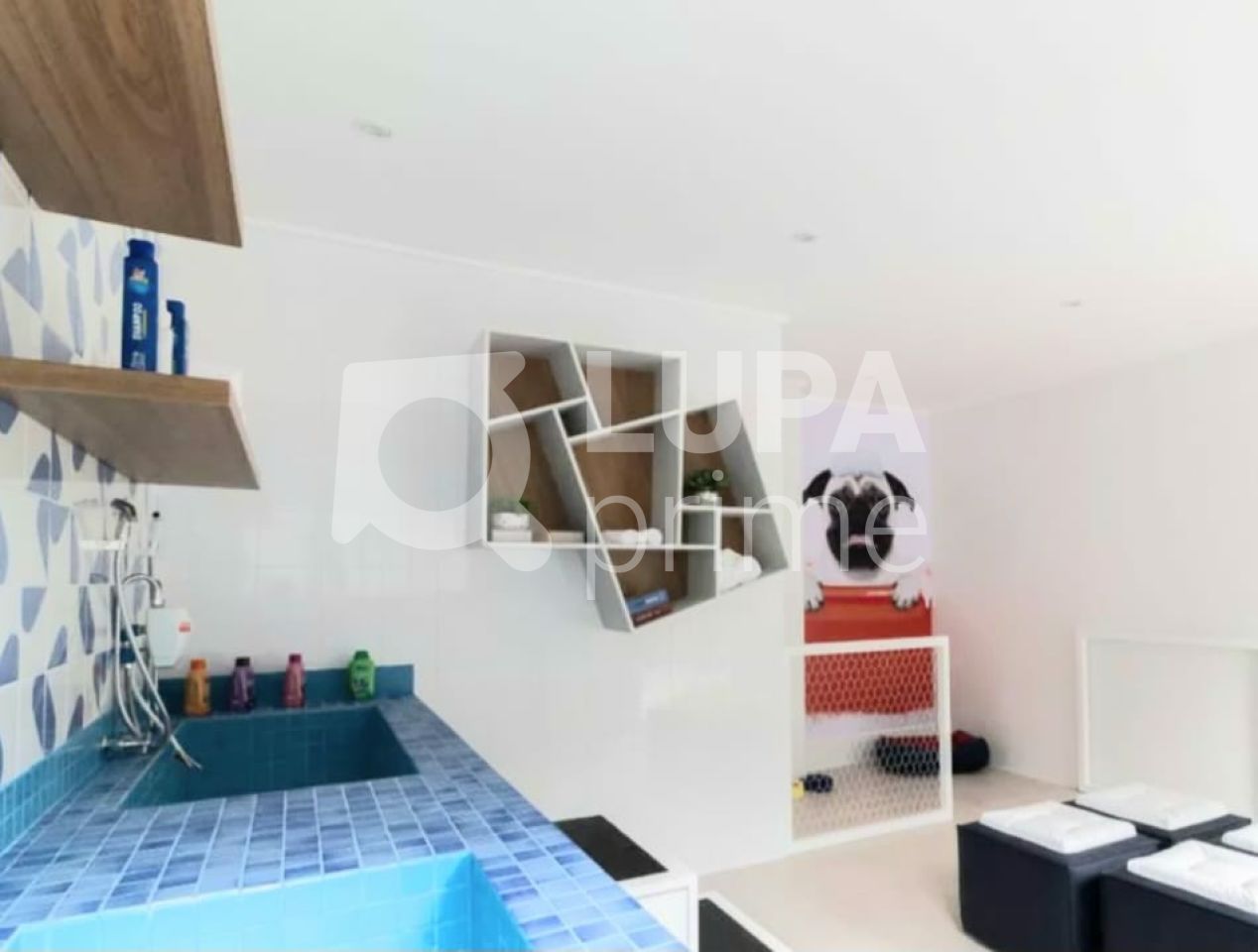 apartamento-venda-sao-paulo-bras-1dormitorio-26m2-LS41787