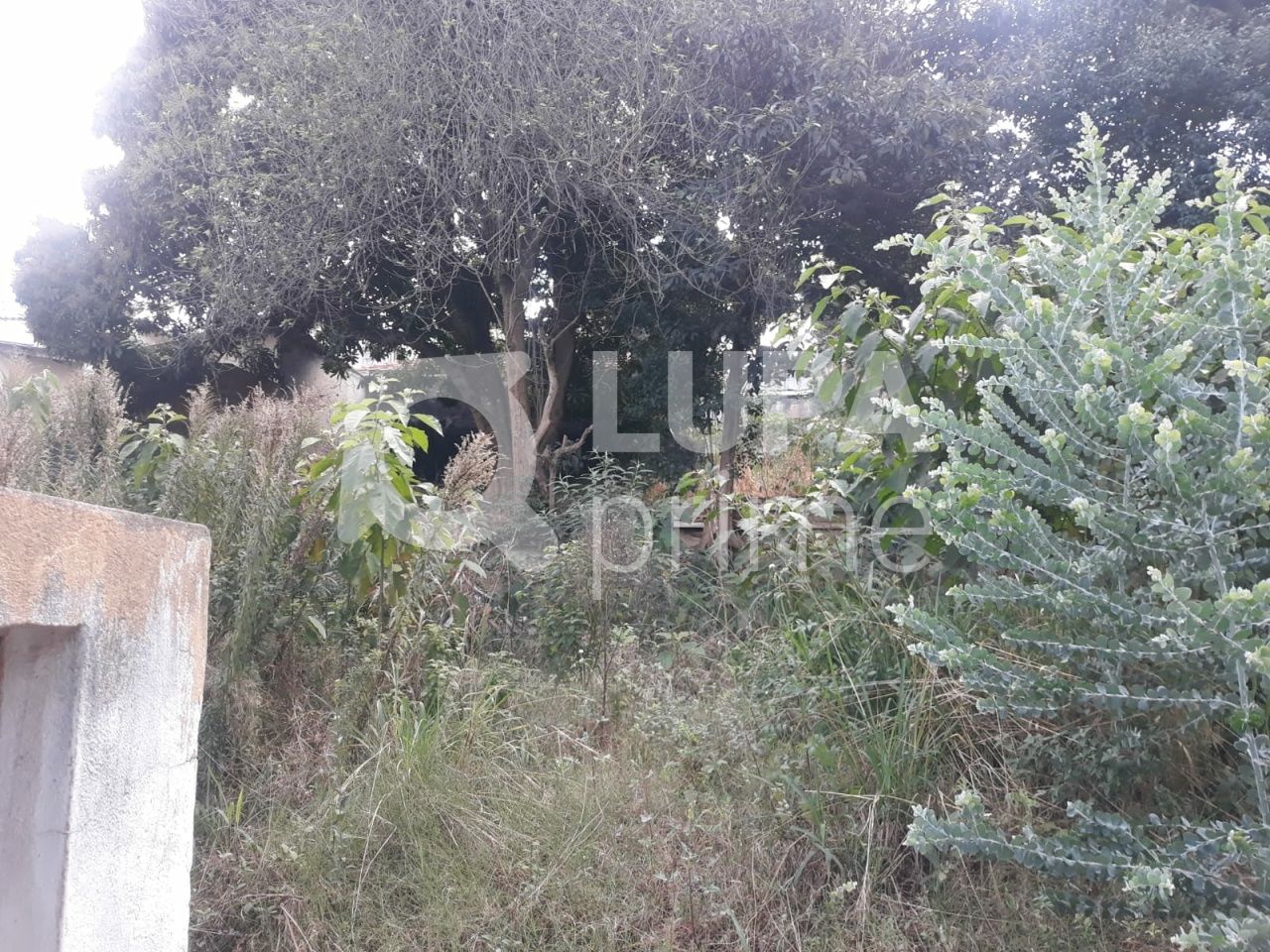 terreno-venda-sao-paulo-vila-nivi-1100m2-LS41810