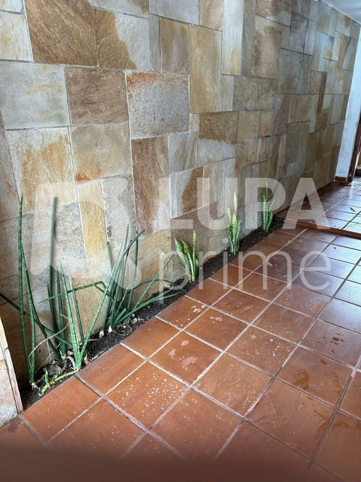 casa-terrea-venda-sao-paulo-tremembe-3dormitorios-2vagas-194m2-LS42252