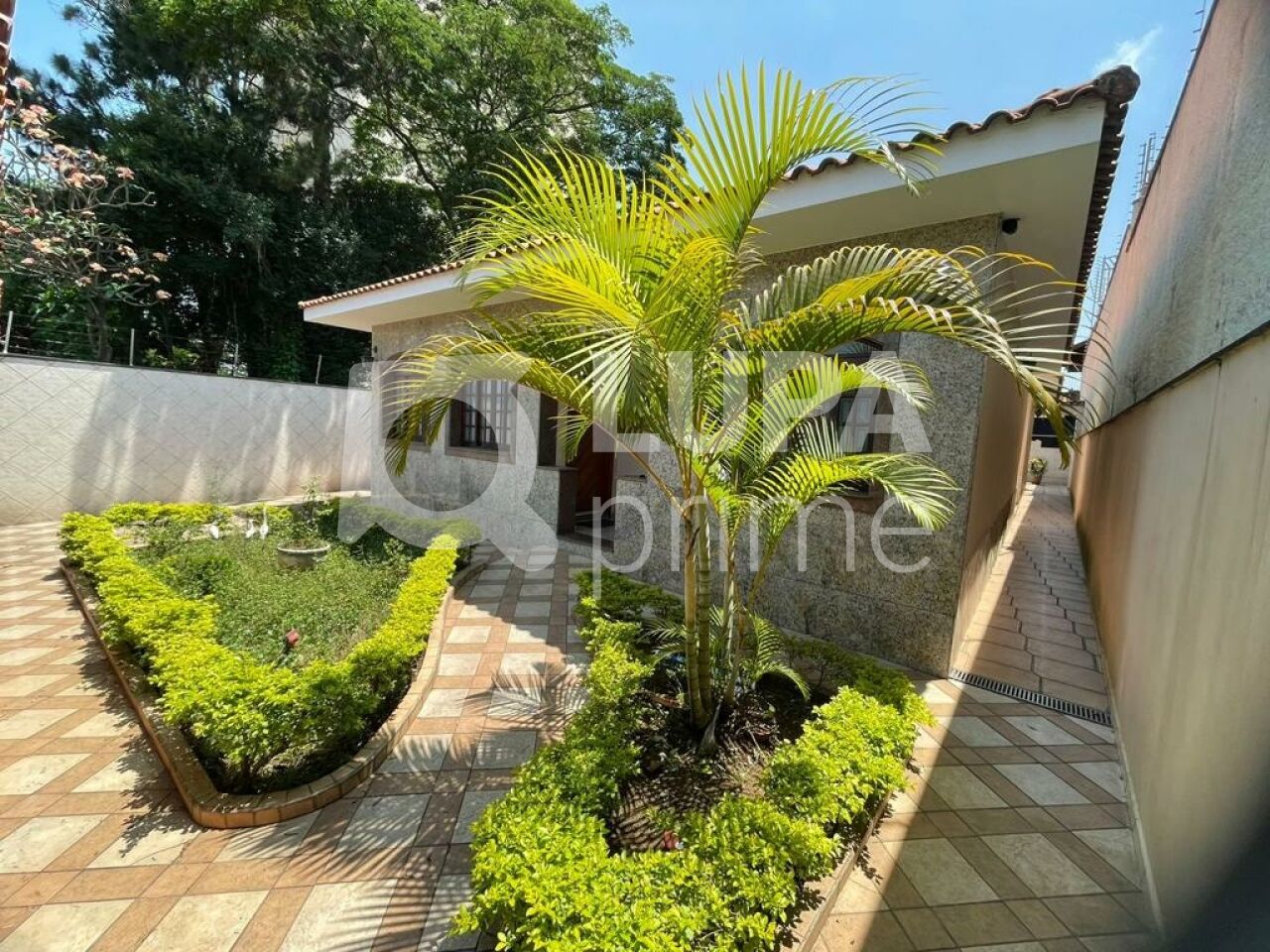 casa-terrea-venda-sao-paulo-tucuruvi-3dormitorios-3suites-5vagas-300m2-LS42879