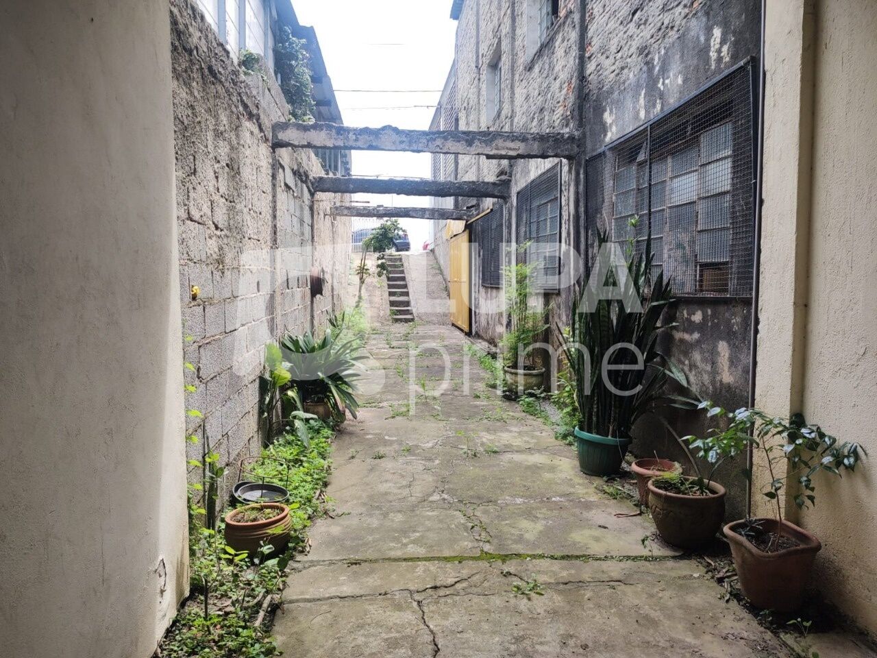 casa-terrea-venda-sao-paulo-vila-mazzei-360m2-LS42893