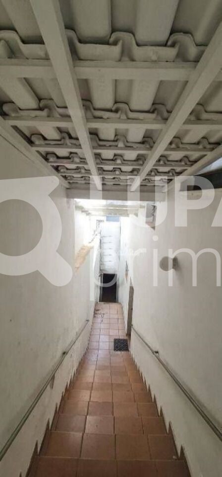 casa-terrea-venda-sao-paulo-vila-mazzei-3dormitorios-1suite-15vagas-250m2-LS43293