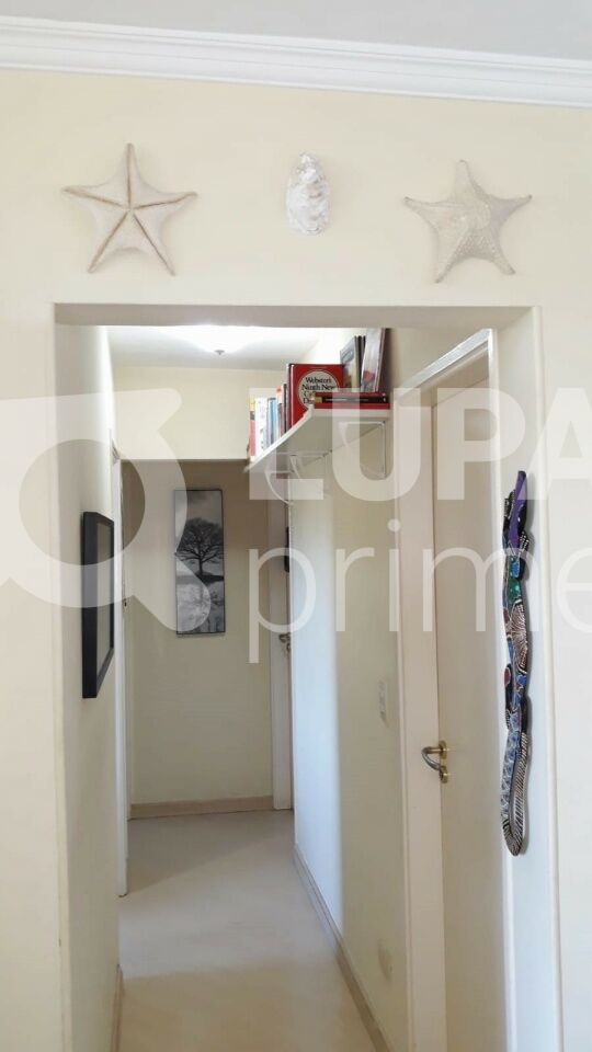 apartamento-venda-sao-paulo-barro-branco-3dormitorios-1suite-1vaga-80m2-LS43484