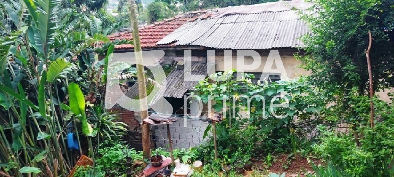 terreno-venda-sao-paulo-horto-florestal-1739m2-LS43597
