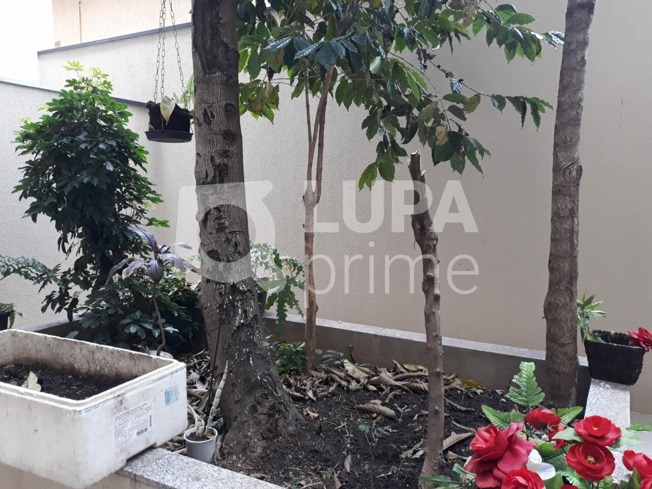 apartamento-venda-sao-paulo-vila-gustavo-1dormitorio-30m2-LS43741