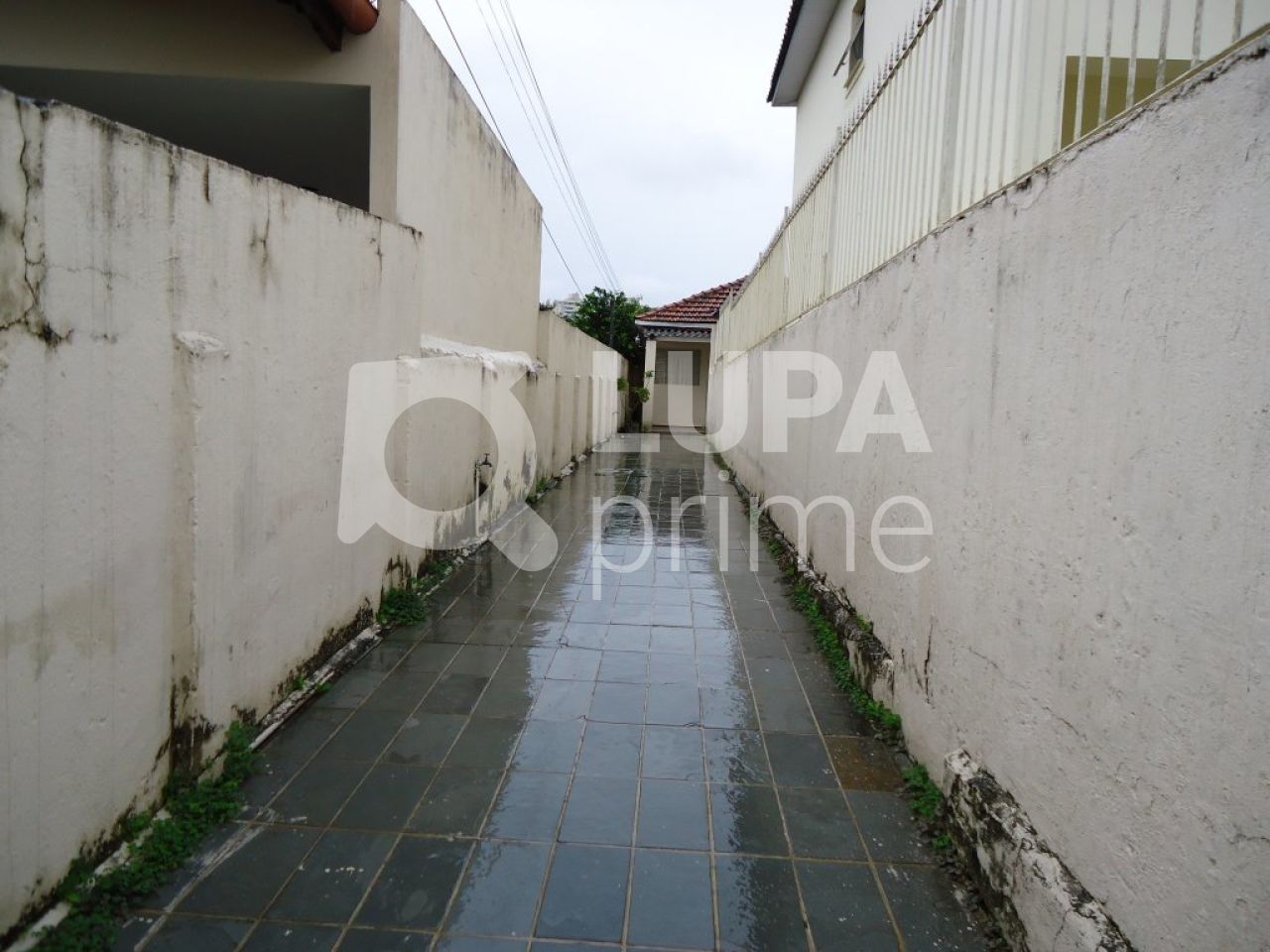 casa-terrea-venda-sao-paulo-vila-guaca-3dormitorios-5vagas-150m2-LS6021