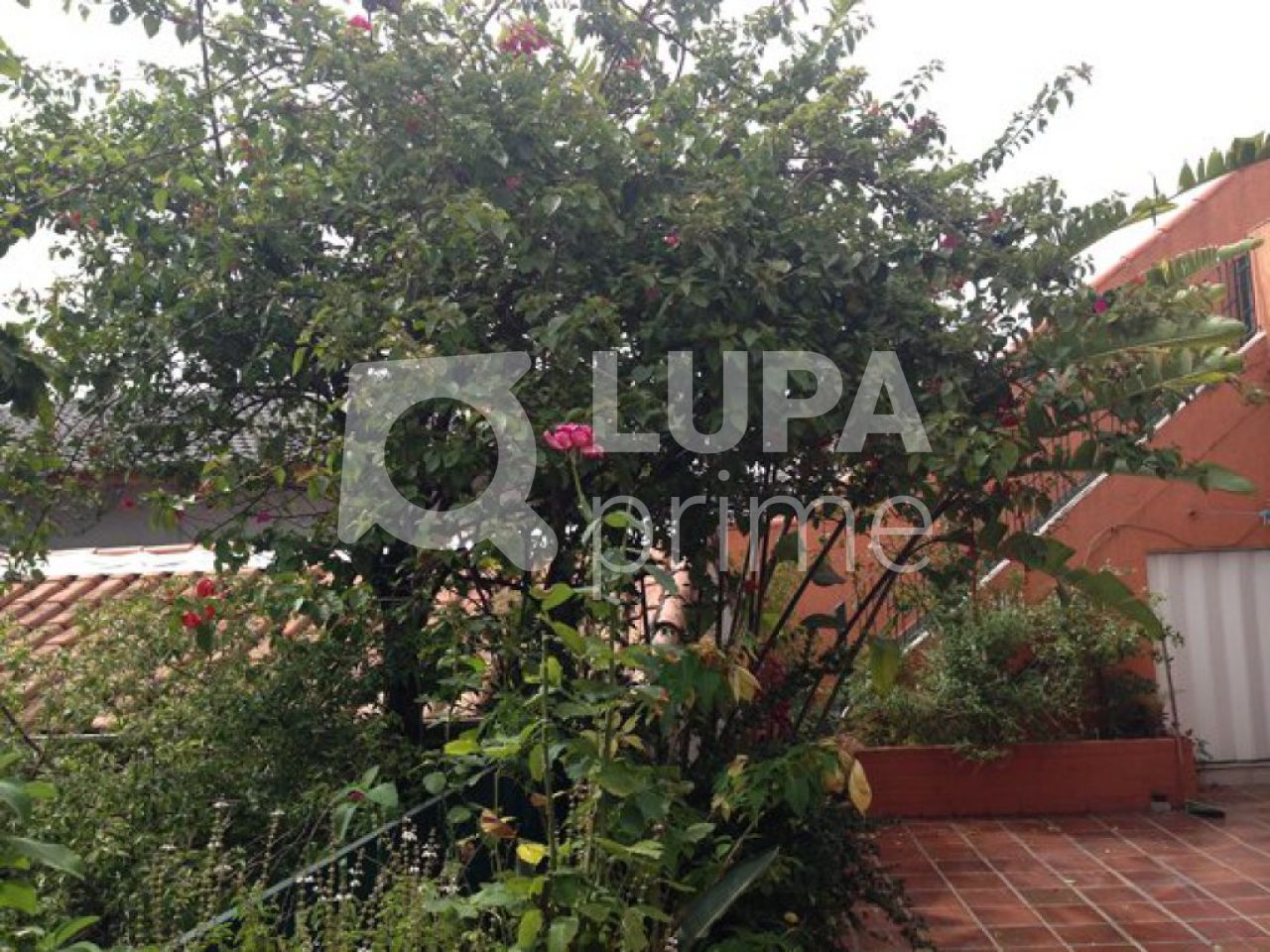 casa-terrea-venda-sao-paulo-jardim-leonor-mendes-de-barros-4dormitorios-1suite-2vagas-300m2-LS7809