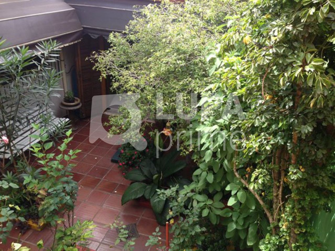 casa-terrea-venda-sao-paulo-jardim-leonor-mendes-de-barros-4dormitorios-1suite-2vagas-300m2-LS7809