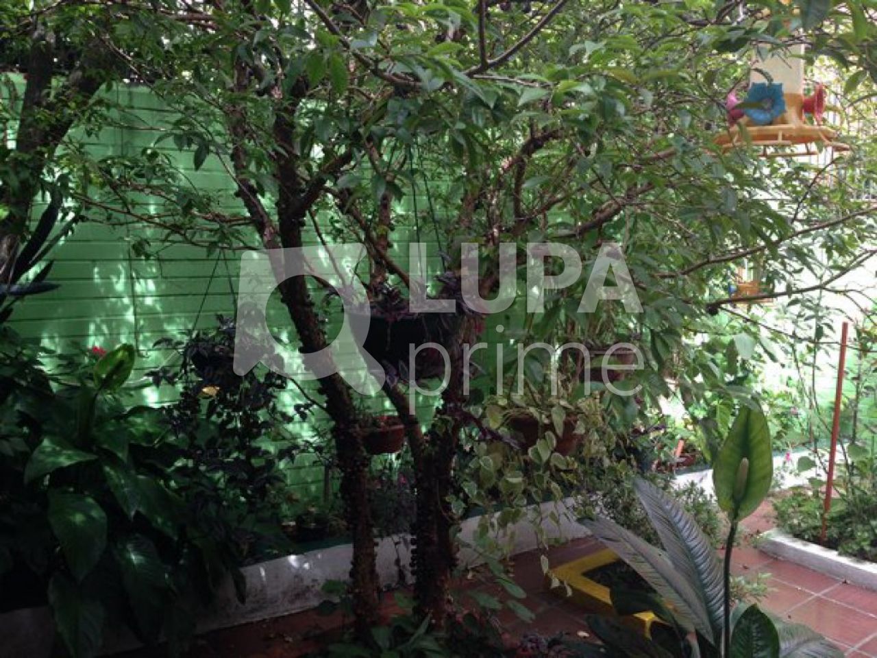 casa-terrea-venda-sao-paulo-jardim-leonor-mendes-de-barros-4dormitorios-1suite-2vagas-300m2-LS7809