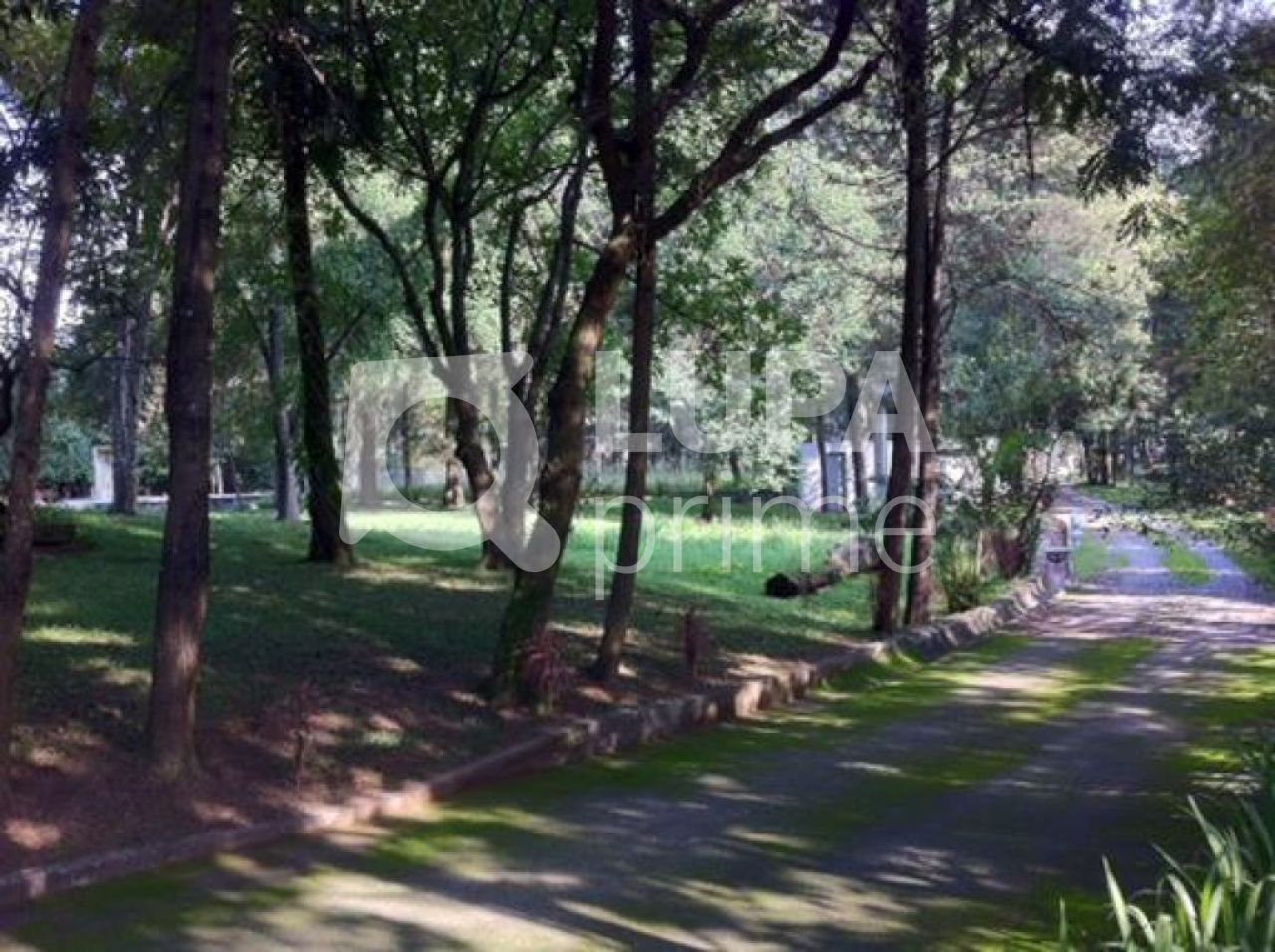 galpao-venda-sao-paulo-furnas-2800m2-LS8566